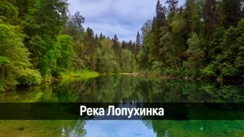 Река Лопухинка