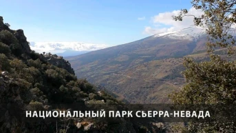 Национальный парк Сьерра-Невада