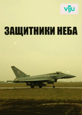 Защитники неба