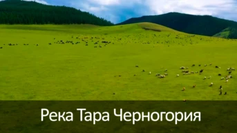 Долина реки Орхон Монголия