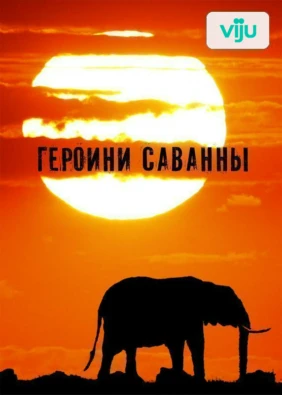 Героини Саванны