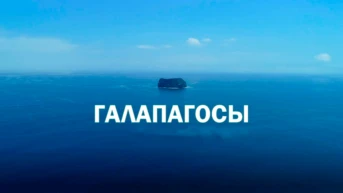 Галапагосы: На краю земли