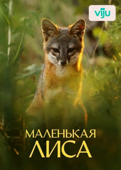 Маленькая лиса