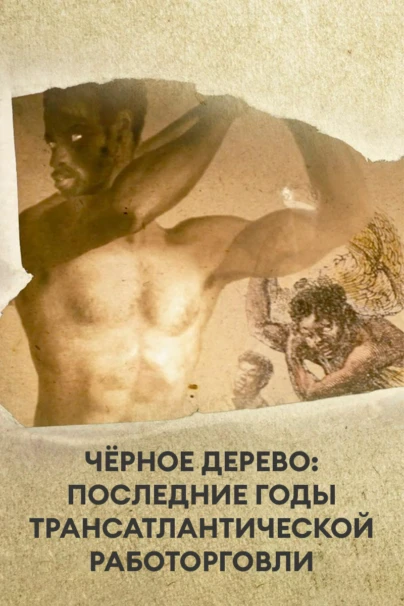 Чёрное дерево: последние годы Трансатлантической работорговли