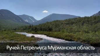 Ручей Петрелиуса Мурманская область