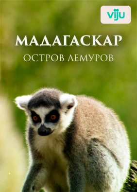 Мадагаскар: остров лемуров