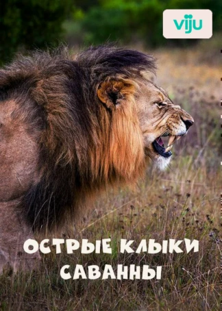 Острые клыки Саванны