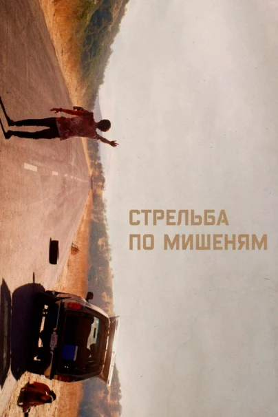 Стрельба по мишеням