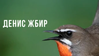 Денис Жбир