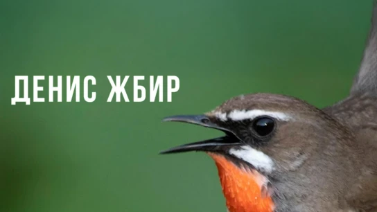Денис Жбир