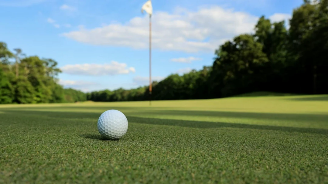 Передача Discovery golf