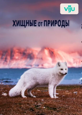 1 серия