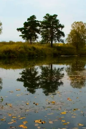 Река Коён
