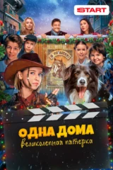 Одна дома: Великолепная пятерка