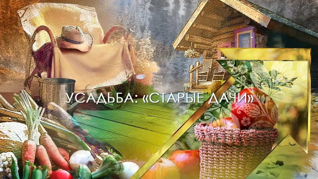 Передача Старые дачи
