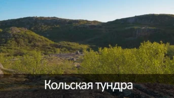 Кольская тундра