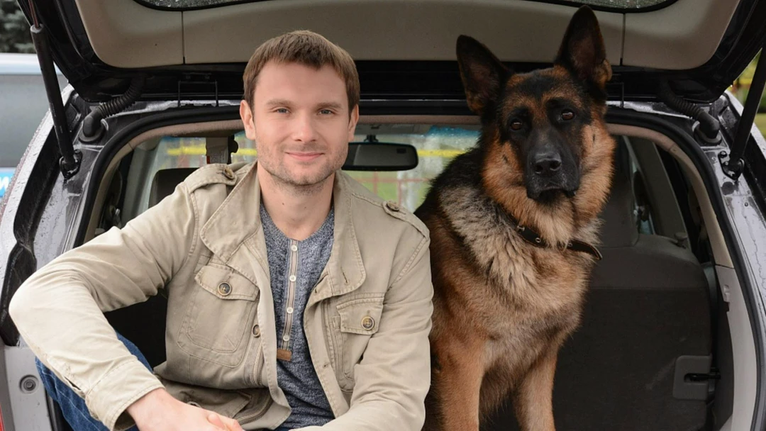 Сериал Мухтар. Новый след