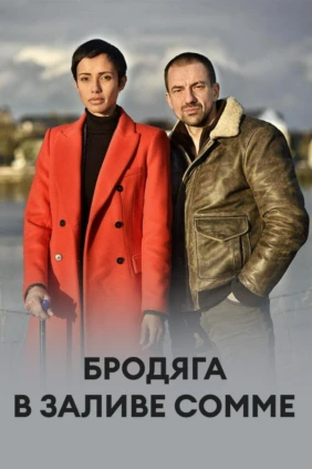 Бродяга в заливе Сомме