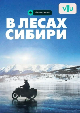 В лесах Сибири