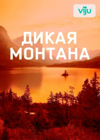 1-я серия