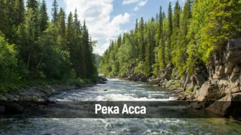 Река Асса