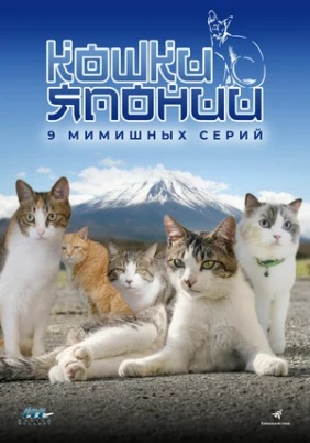 Кошки Японии в Канадзаве и Ното. Серия 4