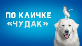 Трейлер 1