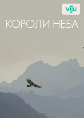 Короли неба