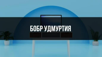 Бобр Удмуртия