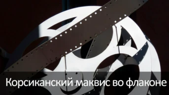 Корсиканский маквис во флаконе