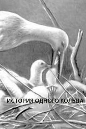 История одного кольца