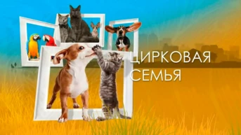 Цирковая семья