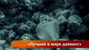 Красное море