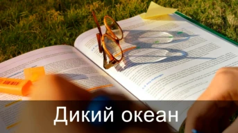 Дикий океан