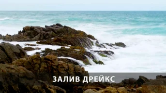 Залив Дрейкс