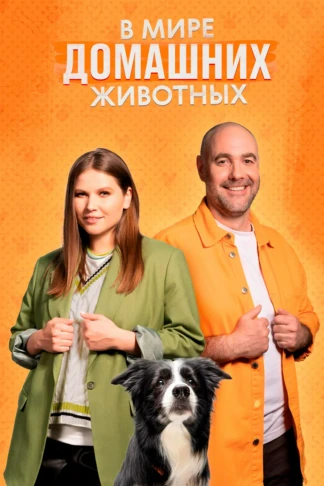 В мире домашних животных