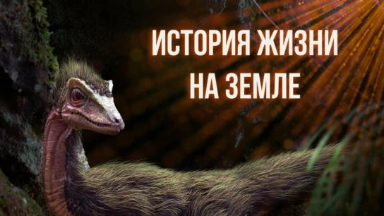 История жизни на Земле