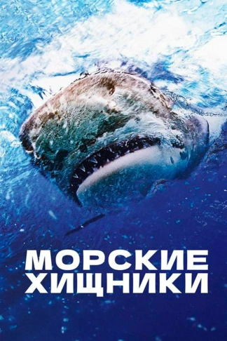 Морские хищники