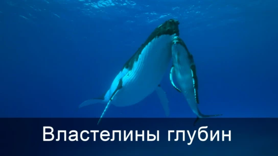Титаны морских глубин