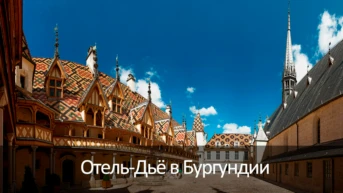 Отель-Дьё в Бургундии