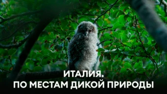 Италия. По местам дикой природы