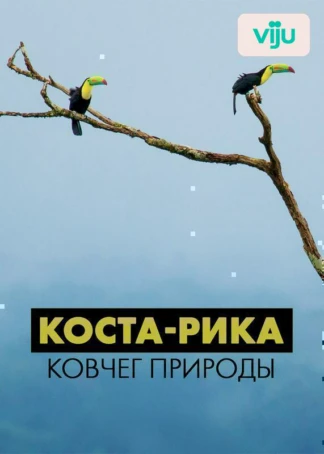 Коста-Рика: ковчег природы