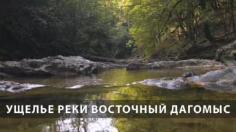Ущелье реки Восточный Дагомыс