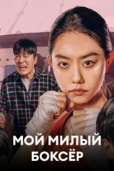 Мой милый боксёр