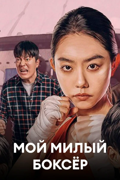 Мой милый боксёр