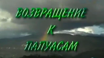 Возвращение к папуасам