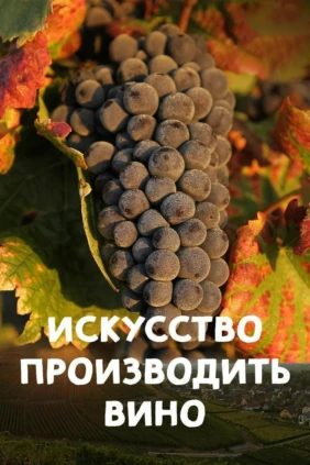 Искусство производить вино