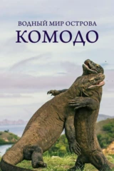 Водный мир острова Комодо