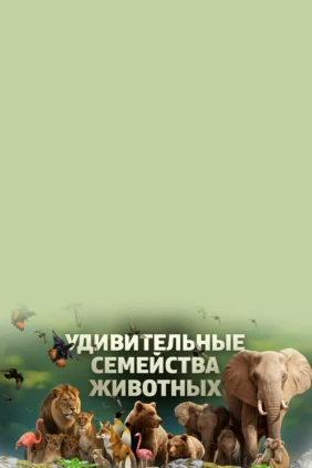 Удивительные семейства животных