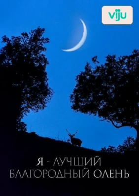 Я — лучший благородный олень